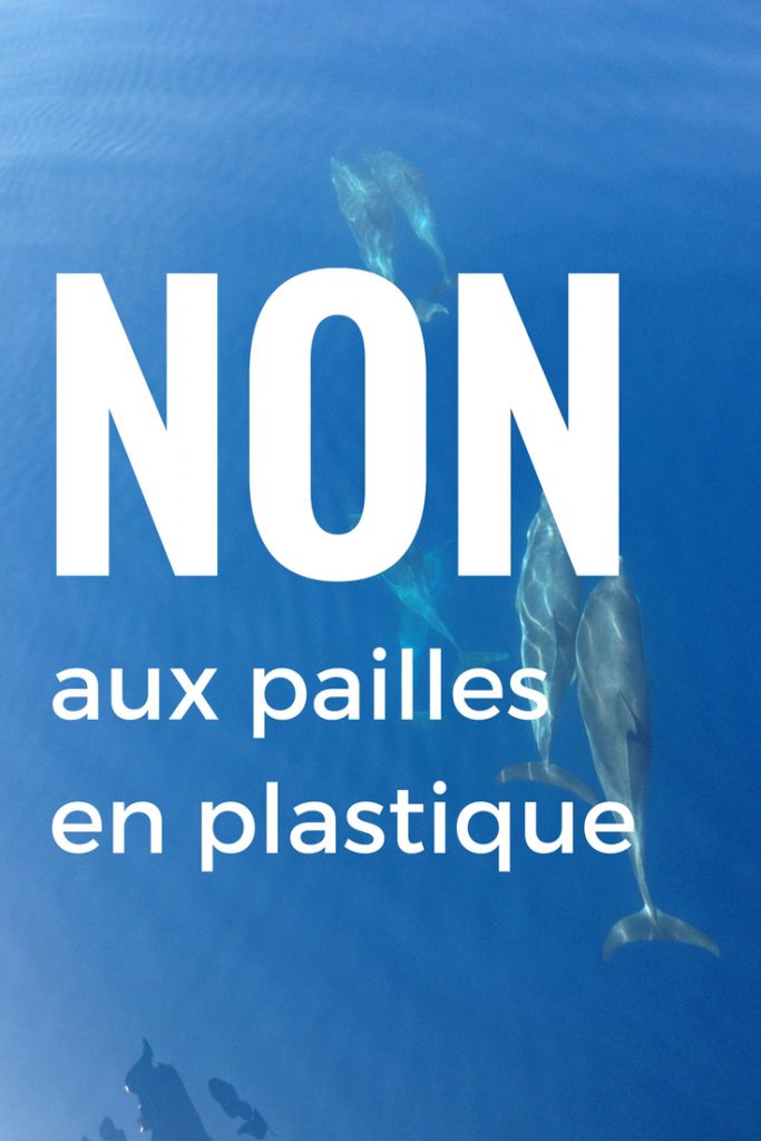 On sait déjà que les bouteilles en plastique et les sacs en plastique sont mauvais pour l’environnement mais on parle peu des pailles. Pourtant elles font partie du top 10 des objets en plastique qui polluent le plus les plages et les océans. Et il y en a partout : au bar, au restau, à la cafétéria … On accepte cette paille de manière naturelle sans se poser de questions. Si on garde cette mauvaise habitude, d’ici 2050, il y aura plus de plastique dans l’océan que de poissons !