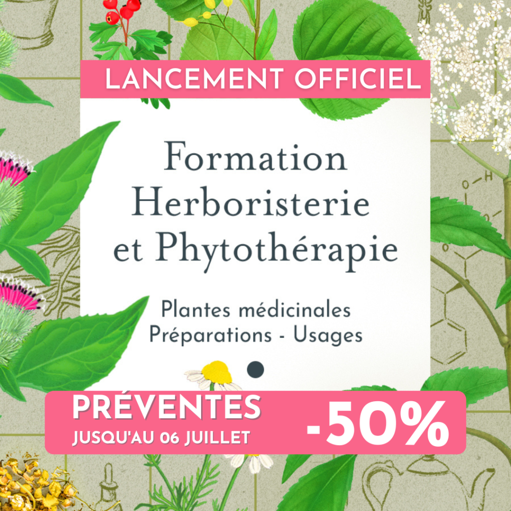 Formation herboristerie et phytothérapie - Le Chemin de la Nature