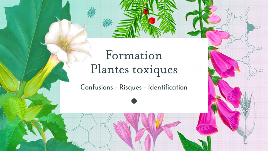 Code promo Le Chemin de la Nature formation plantes toxiques
