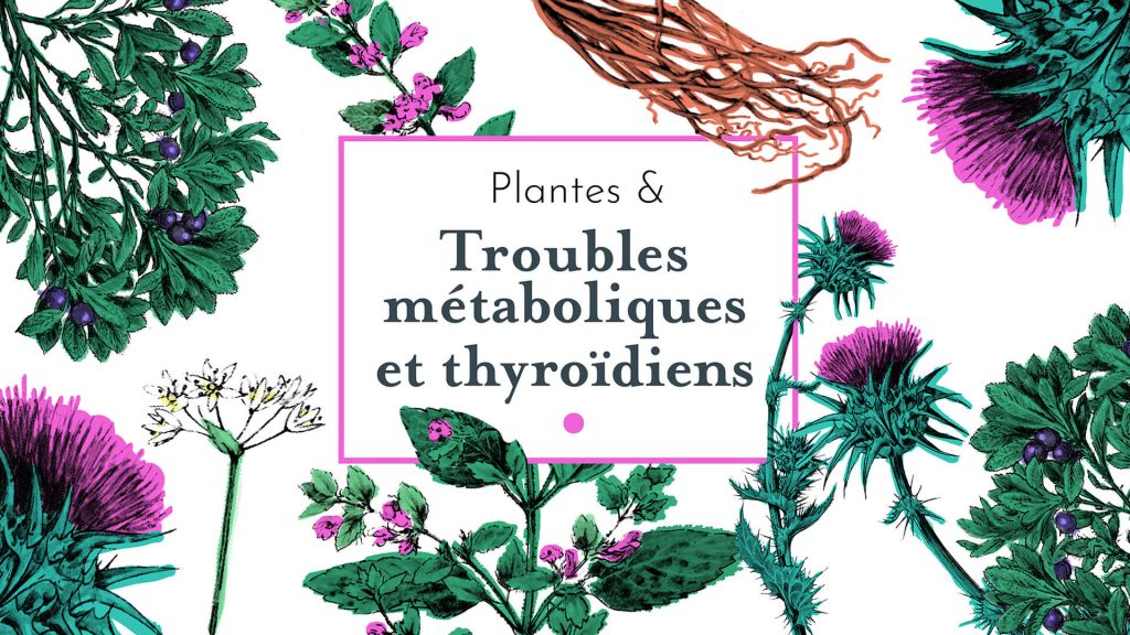Le chemin de la nature : formation phytothérapie plantes et troubles métaboliques et thyroïdiens