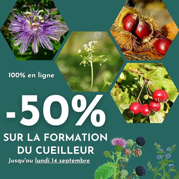 Code promo Le Chemin de la Nature - réduction